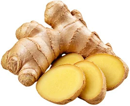 Jengibre (Zingiber officinale) en la composición de Vermisol